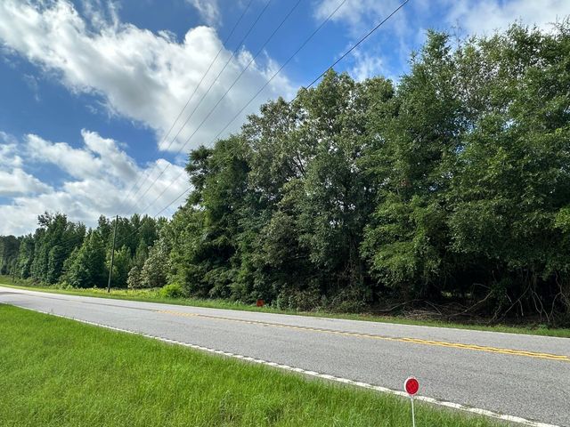 Lot E S Ga Highway 23, Waynesboro, GA 30830