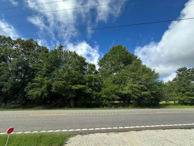 Lot E S Ga Highway 23, Waynesboro, GA 30830