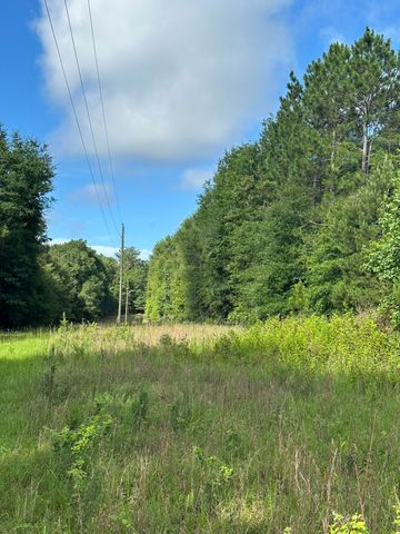 Lot E S Ga Highway 23, Waynesboro, GA 30830