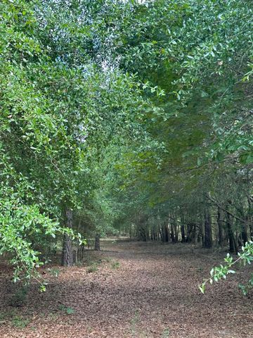 Lot E S Ga Highway 23, Waynesboro, GA 30830