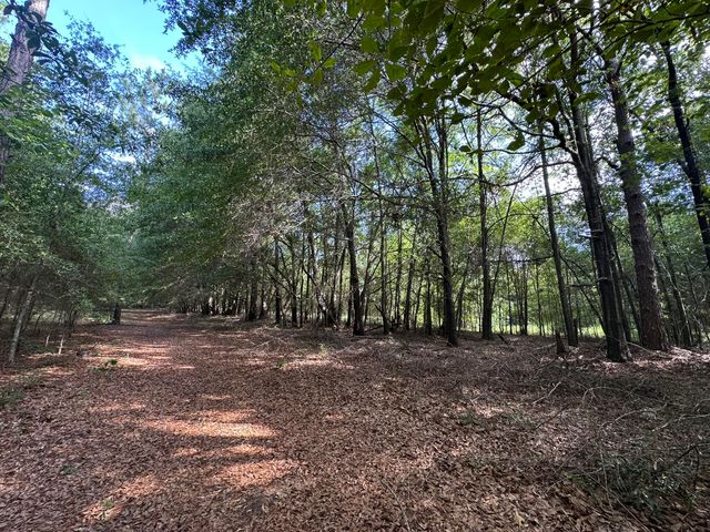 Lot E S Ga Highway 23, Waynesboro, GA 30830