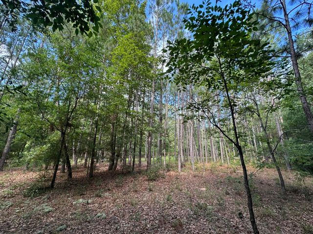 Lot E S Ga Highway 23, Waynesboro, GA 30830