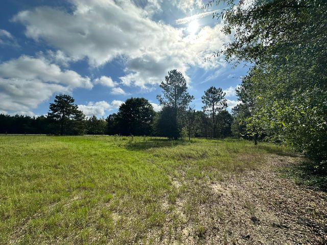 Lot E S Ga Highway 23, Waynesboro, GA 30830