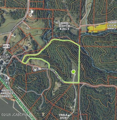 145 W CEDAR TREE LANE, Hartsburg, MO 65039