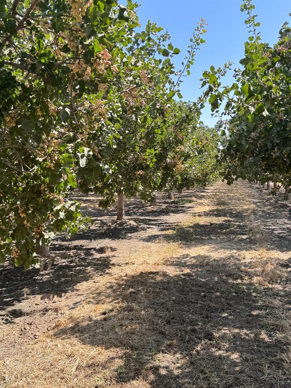 Image 8 of property listing at 15502 10th Avenue, Hanford, CA 93230