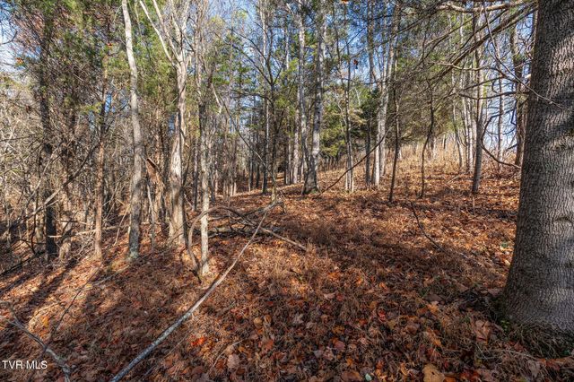 Tbd Skyline Road Lot 2, Jonesborough, TN 37659