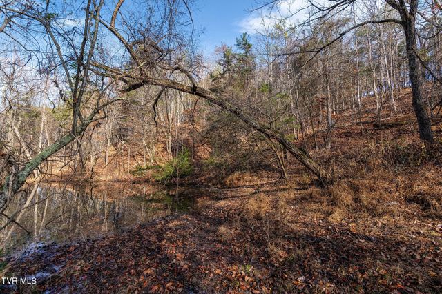 Tbd Skyline Road Lot 2, Jonesborough, TN 37659