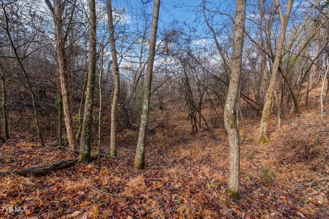 Tbd Skyline Road Lot 2, Jonesborough, TN 37659