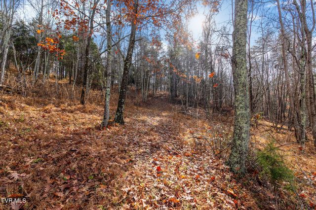 Tbd Skyline Road Lot 2, Jonesborough, TN 37659