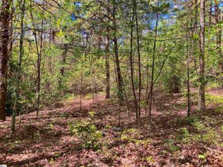 2 Darting Sparrow Way, Marietta, SC 29661