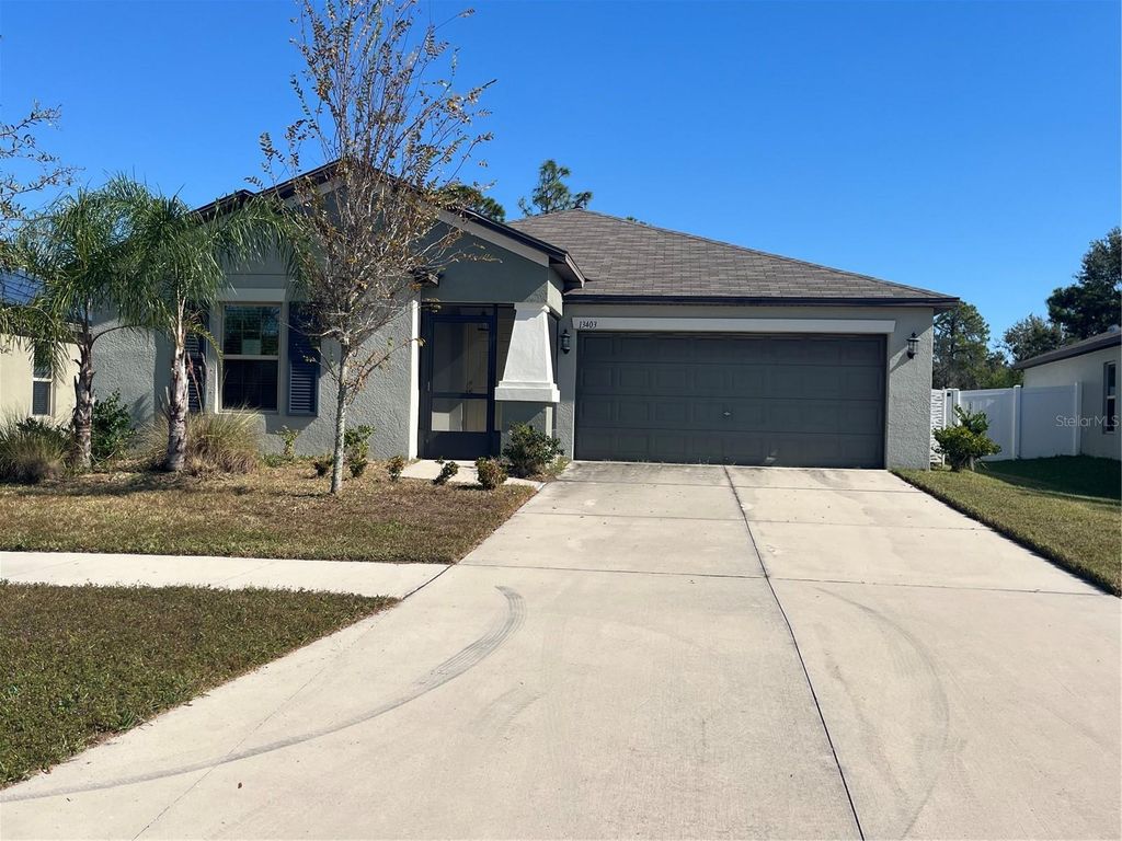 13403 WILLOW BLUESTAR LOOP, Riverview, FL 33579