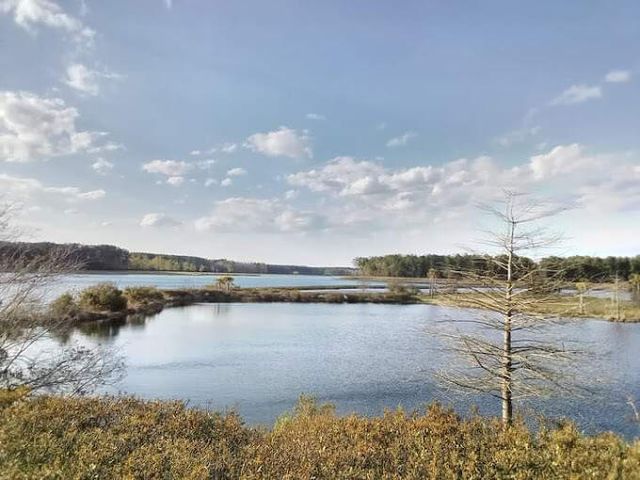 773 Maynard Lane, Summerville, SC 29486