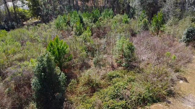 TBD SE 41ST STREET SE, Ocala, FL 34480