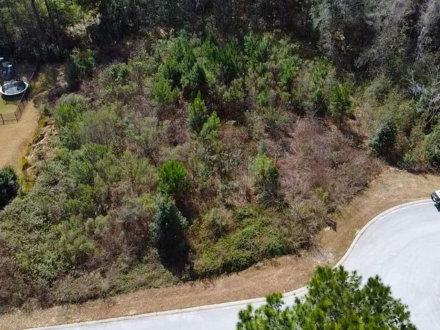 TBD SE 41ST STREET SE, Ocala, FL 34480