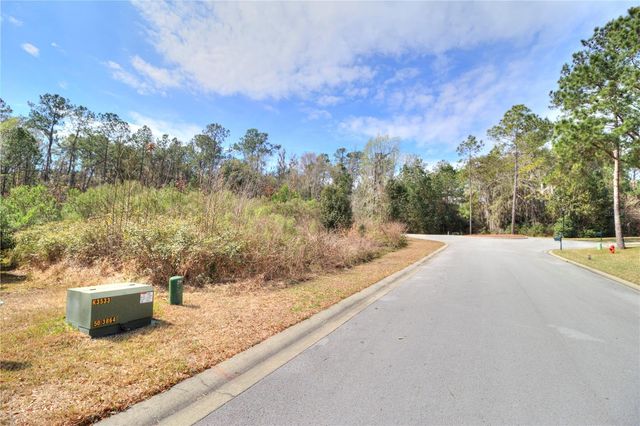 TBD SE 41ST STREET SE, Ocala, FL 34480