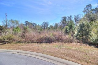 TBD SE 41ST STREET SE, Ocala, FL 34480