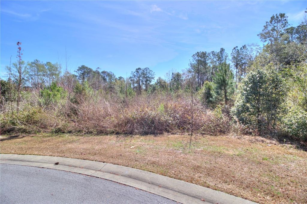 TBD SE 41ST STREET SE, Ocala, FL 34480