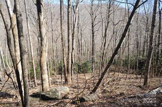 15 Wood Haven Lane 110, Black Mountain, NC 28711