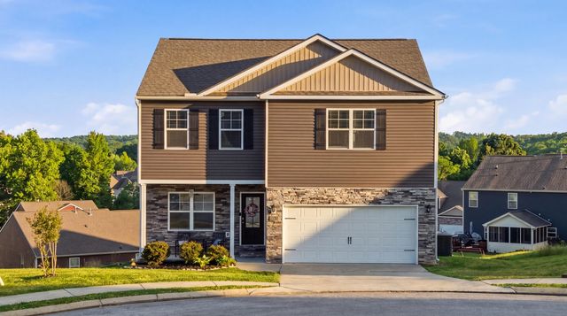 9822 Merlot Lane, Apison, TN 37302