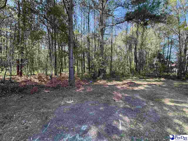 505 Davis Street, Lake City, SC 29560