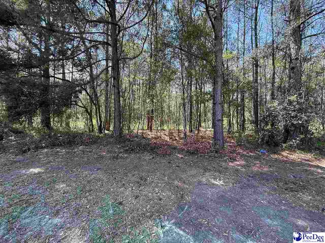 505 Davis Street, Lake City, SC 29560