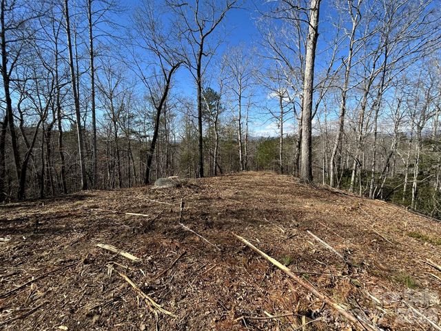 00 Millcreek Way, Rutherfordton, NC 28139