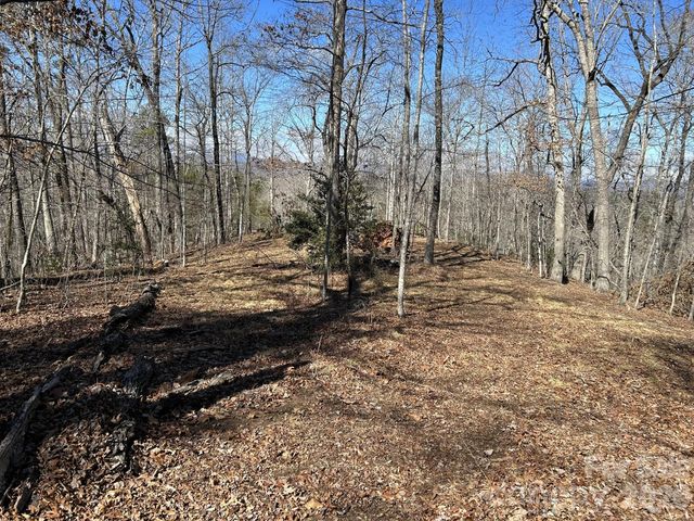 00 Millcreek Way, Rutherfordton, NC 28139