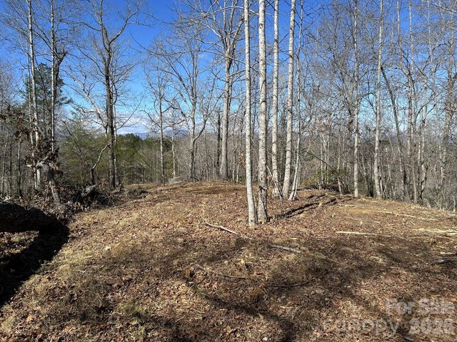 00 Millcreek Way, Rutherfordton, NC 28139