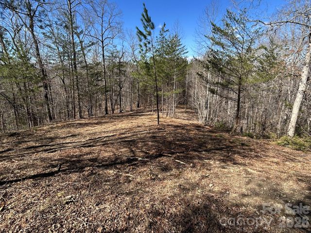 00 Millcreek Way, Rutherfordton, NC 28139