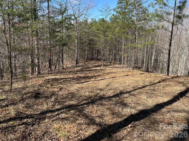 00 Millcreek Way, Rutherfordton, NC 28139