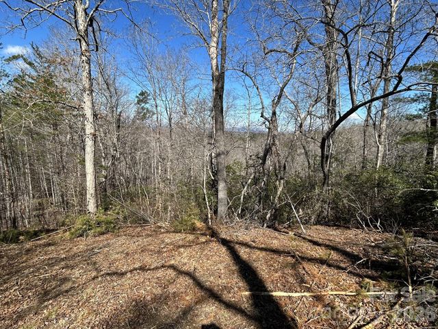 00 Millcreek Way, Rutherfordton, NC 28139