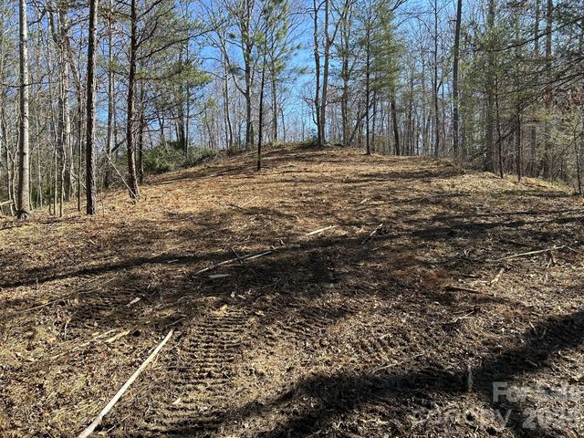 00 Millcreek Way, Rutherfordton, NC 28139