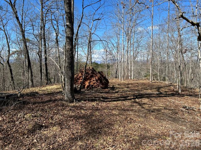 00 Millcreek Way, Rutherfordton, NC 28139