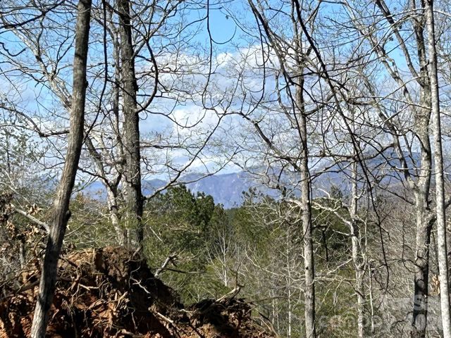 00 Millcreek Way, Rutherfordton, NC 28139