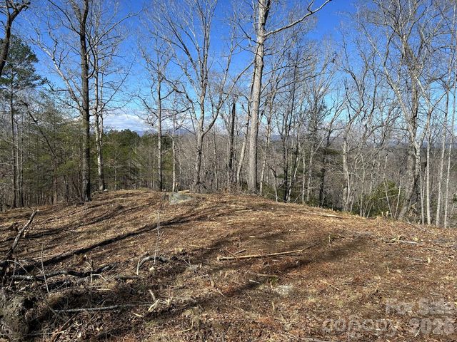 00 Millcreek Way, Rutherfordton, NC 28139