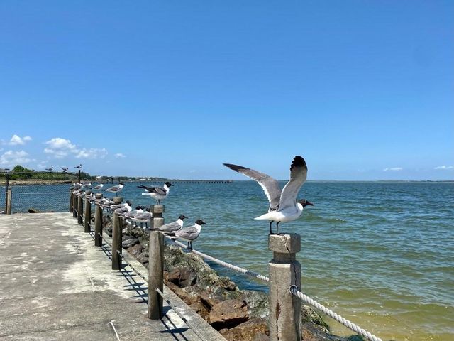 610 Lost Creek Drive, Baytown, TX 77523