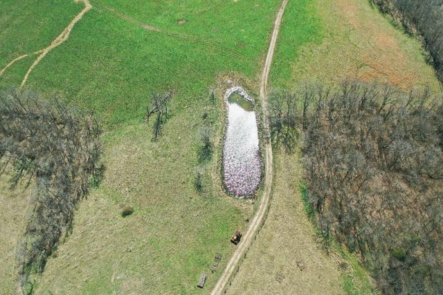 1300 Lower Concord Road, Carlisle, KY 40311