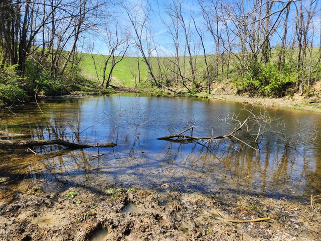 1300 Lower Concord Road, Carlisle, KY 40311