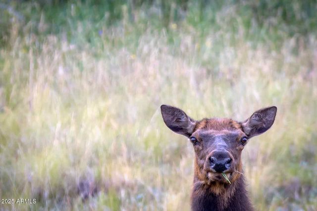 5606 HIGH Drive, Lakeside, AZ 85929