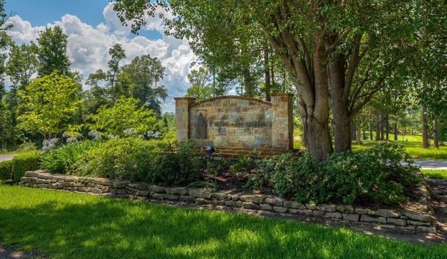 59 S Pine Harbour Drive, Coldspring, TX 77331