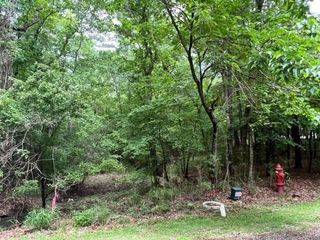 59 S Pine Harbour Drive, Coldspring, TX 77331