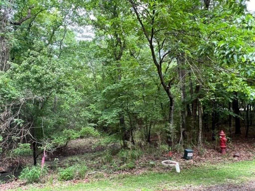 59 S Pine Harbour Drive, Coldspring, TX 77331