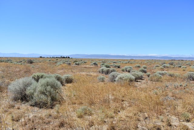 Ave A12 And Vic 73rd St West, Lancaster, CA 93536