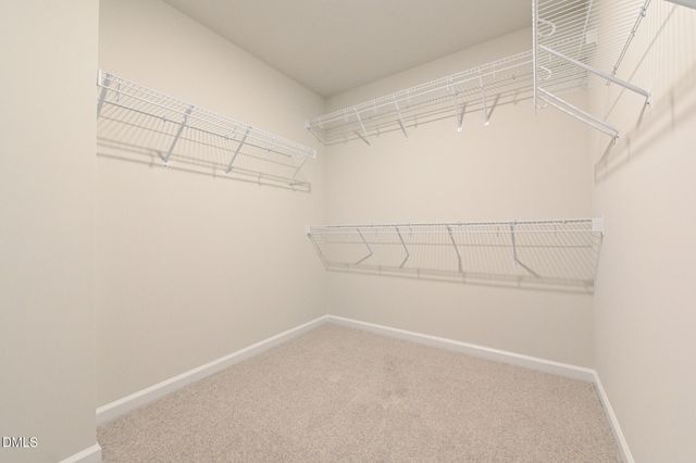 145 Hookbill Lane Lot 13, Lillington, NC 27546