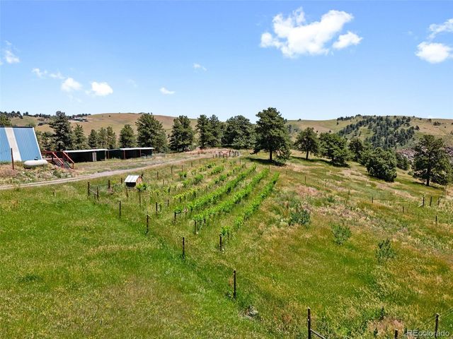 1044 S Grapevine Road, Golden, CO 80401