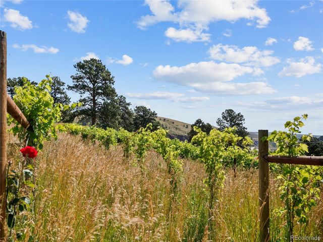 1044 S Grapevine Road, Golden, CO 80401