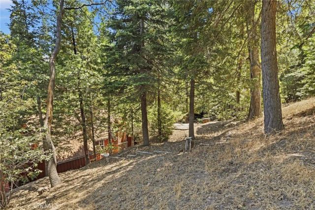 118 E Lane, Lake Arrowhead, CA 92352