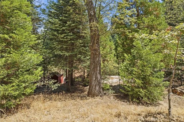 118 E Lane, Lake Arrowhead, CA 92352
