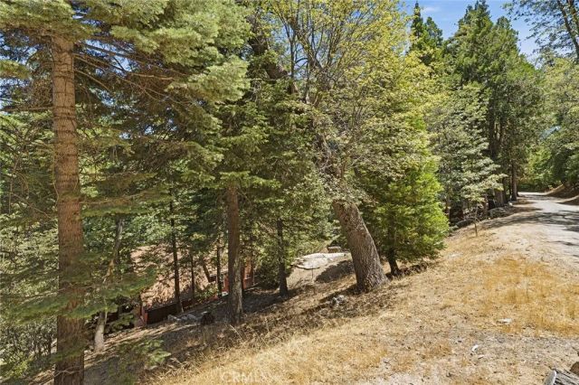 118 E Lane, Lake Arrowhead, CA 92352
