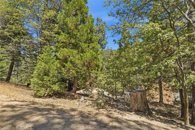 118 E Lane, Lake Arrowhead, CA 92352
